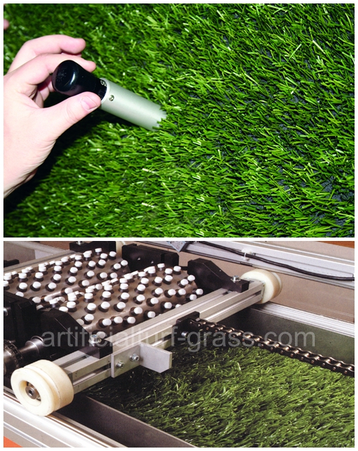 All Victory Grass (Guangzhou) Co., Ltd controle de qualidade 0