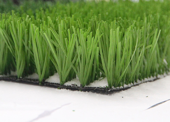CHINA Fabricante artificial verde For Sports da grama do fio do PE do Monofil, relvado artificial do campo de futebol fornecedor