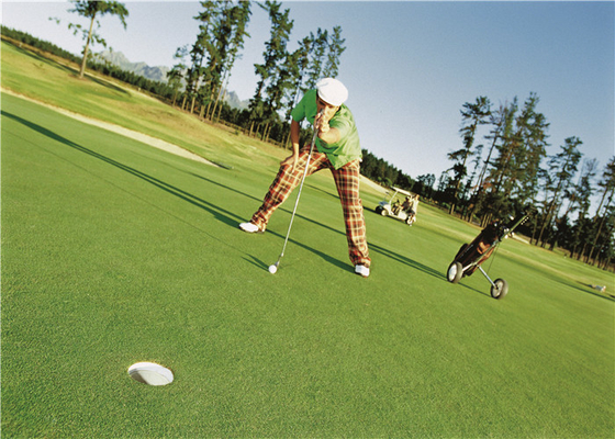 CHINA Grama artificial para o verde de colocação do golfe, grama do alto densidade encaracolado da falsificação do golfe fornecedor
