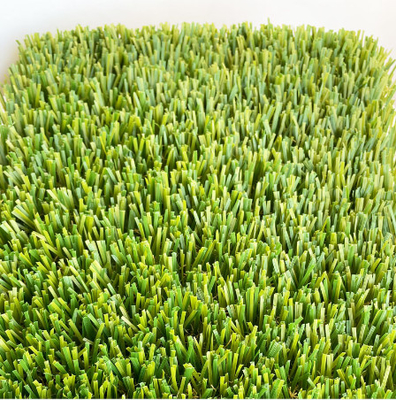 CHINA Claro - grama artificial do jardim verde do amarelo da festuca com o revestimento do látex de SBR fornecedor