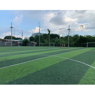 CHINA Tapete futsal do relvado sintético do verde do GV para a terra de futebol fornecedor