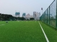 Esportes artificiais da grama do futebol profissional que pavimentam para o futebol fornecedor