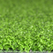 Verde de colocação artificial exterior e interno 10-15mm da grama do golfe fornecedor