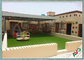 Multi - grama artificial exterior da função para a decoração do jardim de infância/jardim fornecedor