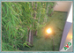 S verde-maçã deu forma à grama sintética interna para o jardim da casa que ajardina a decoração fornecedor
