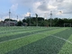 verde artificial do campo de grama do futebol do assoalho de tapete do relvado do futebol da altura de 40mm fornecedor