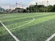 grama falsificada do campo de futebol da altura de 40mm látex de 5/8 de polegada SBR fornecedor