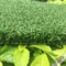grama artificial do golfe natural da altura da pilha de 10mm/verde colocação interno do golfe fornecedor