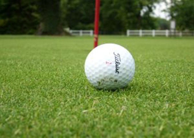Escritório de vista real/golfe interno residencial que põe Mat Waterproof Artificial Grass 0