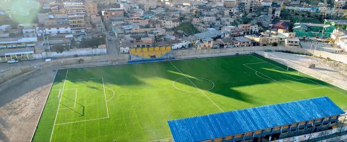 Estrutura artificial do monofilamento da grama do futebol da altura realística do olhar 60mm 0