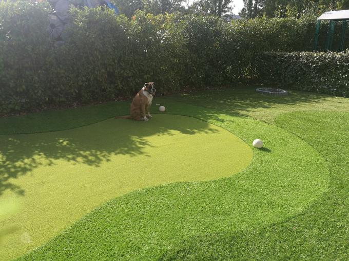 Altura artificial verde sintética de Gateball 13m da grama do relvado do golfe da colocação 0