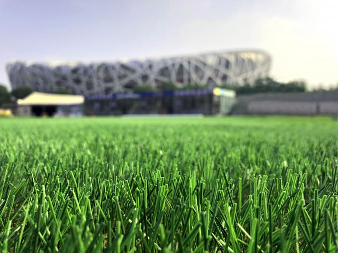 Altura tecida do relvado gramado artificial natural 50mm da grama do futebol 0