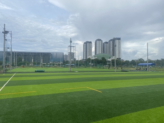 CHINA grama do futebol da falsificação de 55mm Diamond Shape Football Artificial Turf fornecedor