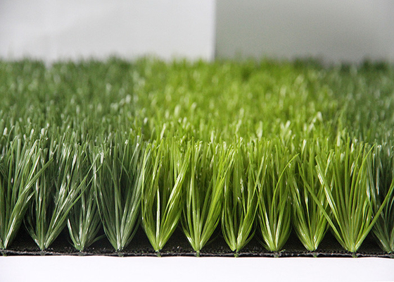 CHINA Largura gramados falsos da grama de 2M/de 4M Sports Artificial Turf para a decoração exterior fornecedor