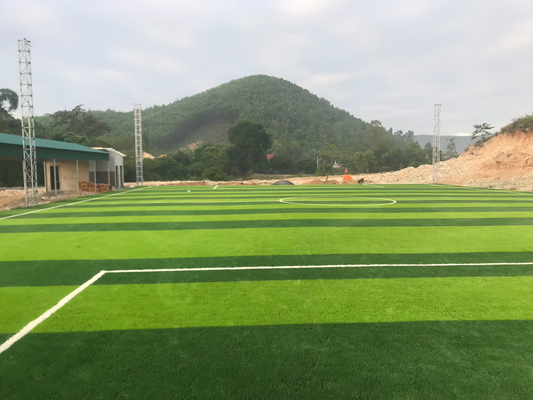 CHINA Grama artificial do relvado dos esportes da grama 55mm do futebol da grama do futebol fornecedor