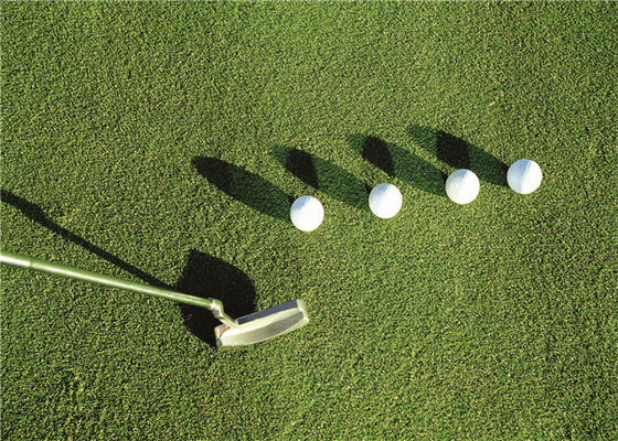 CHINA Grama artificial do golfe de Autumn Spring Sport Putting Green com a pastagem da almofada de choque fornecedor