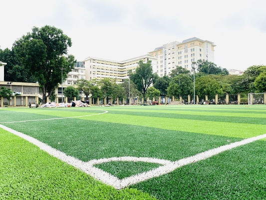 CHINA relvado artificial verde do futebol sintético da grama do campo de futebol do basebol de 55mm fornecedor