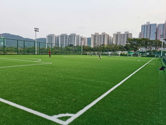 CHINA Relvado artificial do futebol da grama de Cesped da profissão com preço de fábrica 55mm fornecedor
