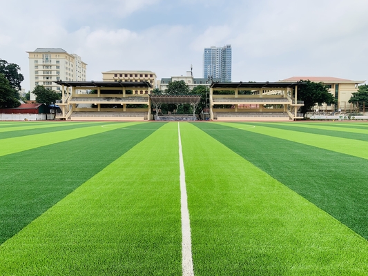 CHINA esportes artificiais da grama de 55mm que pavimentam para a terra de futebol do futebol fornecedor