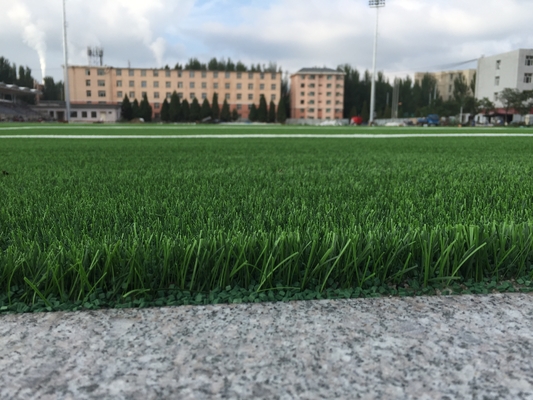 CHINA Tecido suportando a grama Aritificial do relvado do futebol para o campo de futebol fornecedor