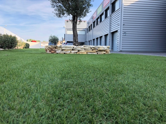 Ajardinando o relvado 25mm C dê forma à grama artificial para a grama da paisagem do jardim fornecedor