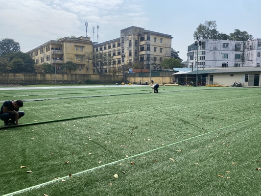 Grama falsificada do futebol da composição 50mm do PE para interno exterior fornecedor