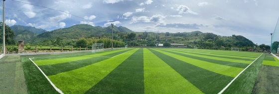 grama artificial do futebol da multi finalidade de 60mm para o campo de futebol interno exterior fornecedor