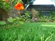Grama artificial do jardim reciclável verde para a decoração, relvado artificial da casa fornecedor