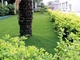 Altura reciclável ajardinando verde da grama artificial 40mm da saúde do hotel fornecedor