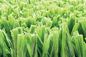 Relvado artificial do futebol do verde do nível superior de AVG, tapete sintético da grama do futebol fornecedor