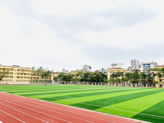 Relvado artificial artificial do campo de futebol da grama de Cesped Futbol do futebol para a terra de futebol fornecedor