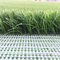 Populares tecidos gramam a grama artificial do futebol o relvado do futebol que atapeta a grama sintética fornecedor