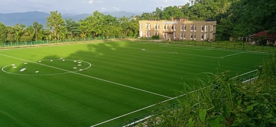 Relvado artificial da grama da grama do futebol para o campo de futebol 40mm 50mm 60mm fornecedor