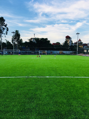 Grama artificial do futebol do relvado do basebol da grama para a terra do futebol fornecedor