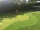 Altura artificial verde sintética de Gateball 13m da grama do relvado do golfe da colocação fornecedor