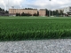 Tecido suportando a grama Aritificial do relvado do futebol para o campo de futebol fornecedor