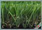 6800 gramas sintéticas decorativas de Dtex ajardinam a grama artificial para jardins fornecedor