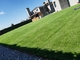 do gramado artificial de Fakegrass do assoalho da grama de 20-50mm tapete verde exterior fornecedor